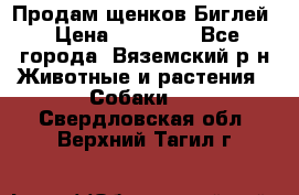 Продам щенков Биглей › Цена ­ 15 000 - Все города, Вяземский р-н Животные и растения » Собаки   . Свердловская обл.,Верхний Тагил г.